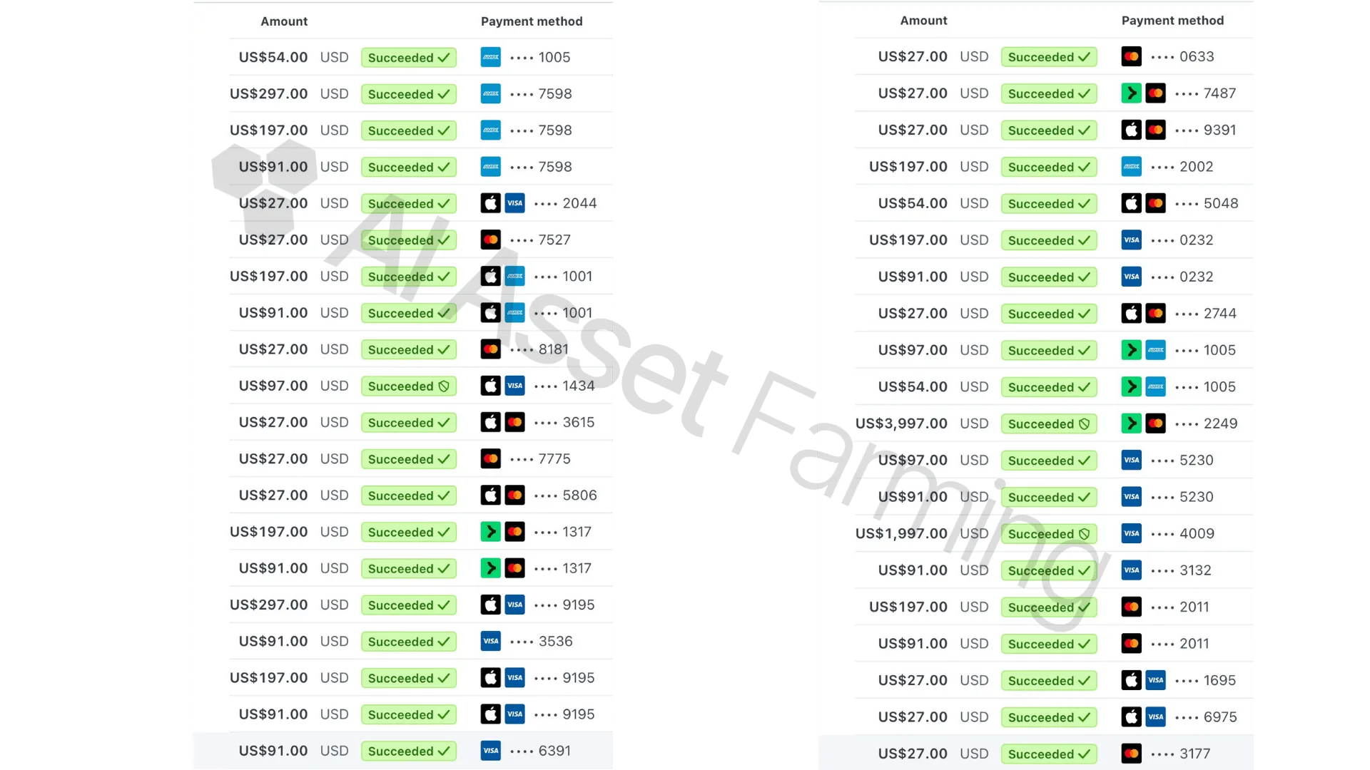 Stripe transactions ledger - succeeded payments split view